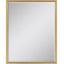 Paragon #547 36 x 48 Beveled Metallic 50 X 38 X 2 Wall Mirror
