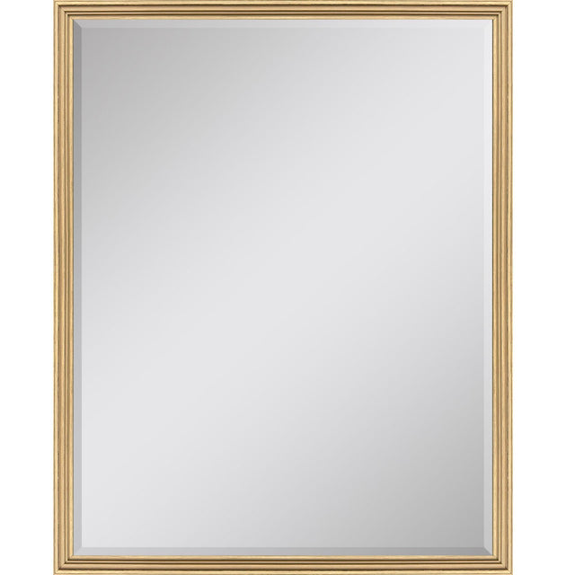 Paragon #547 36 x 48 Beveled Metallic 50 X 38 X 2 Wall Mirror