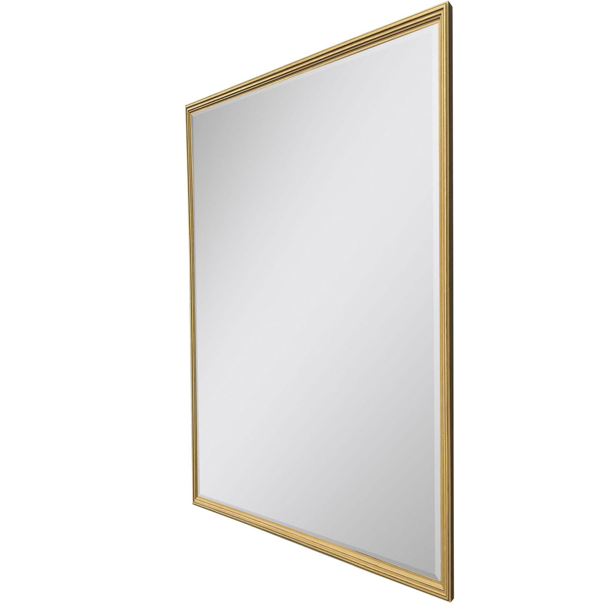 Paragon #547 36 x 48 Beveled Metallic 50 X 38 X 2 Wall Mirror
