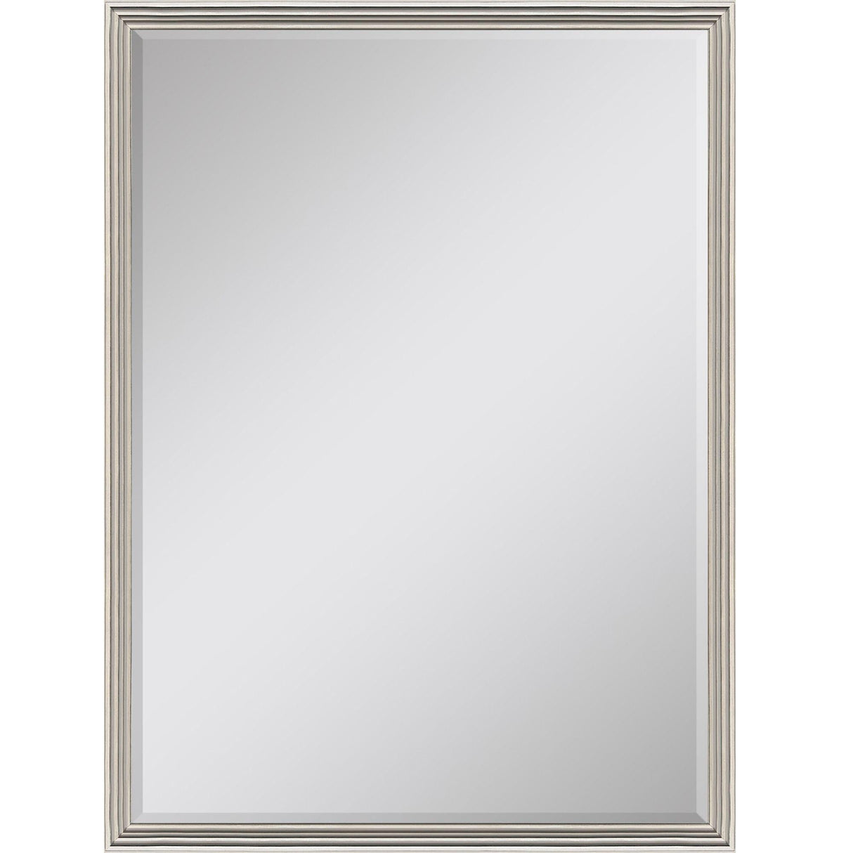Paragon #884 24 x 36 Beveled Metallic 38 X 26 X 2 Wall Mirror