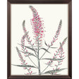 Paragon Pink Veronique I Pink 33 X 27 X 1 Wall Art