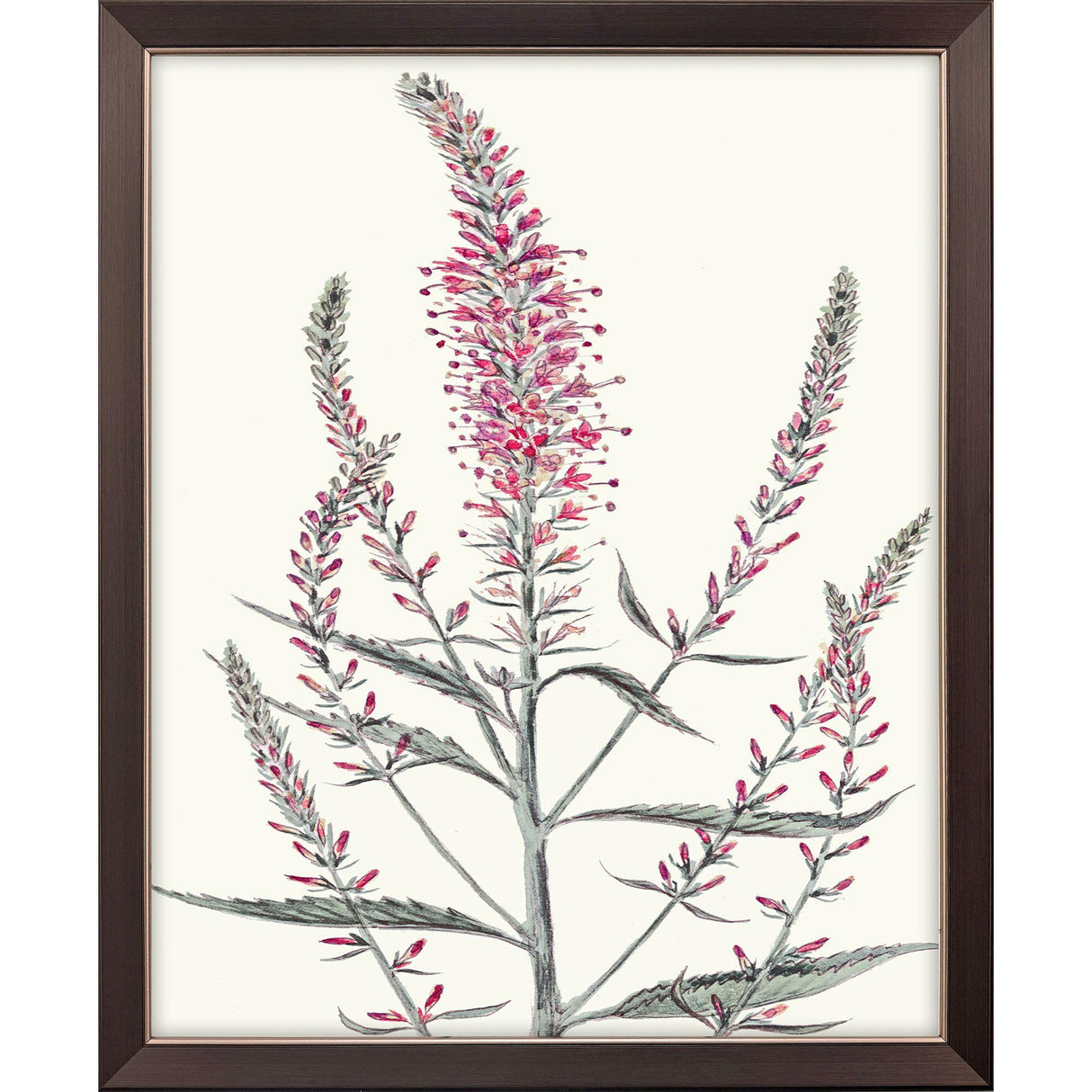 Paragon Pink Veronique I Pink 33 X 27 X 1 Wall Art