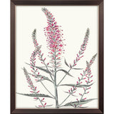 Paragon Pink Veronique I Pink 33 X 27 X 1 Wall Art