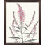 Paragon Pink Veronique I Pink 33 X 27 X 1 Wall Art