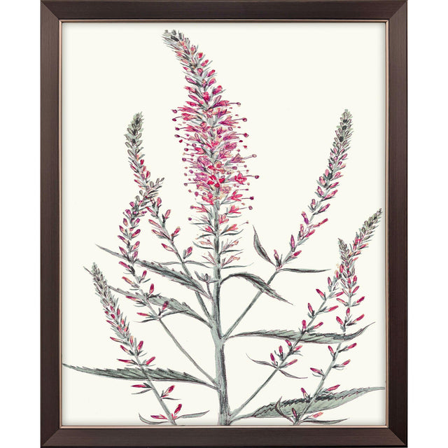 Paragon Pink Veronique I Pink 33 X 27 X 1 Wall Art