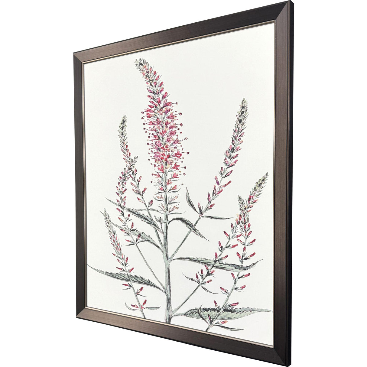 Paragon Pink Veronique I Pink 33 X 27 X 1 Wall Art
