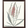 Paragon Pink Veronique II Pink 33 X 27 X 1 Wall Art