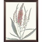 Paragon Pink Veronique II Pink 33 X 27 X 1 Wall Art