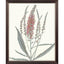 Paragon Pink Veronique II Pink 33 X 27 X 1 Wall Art