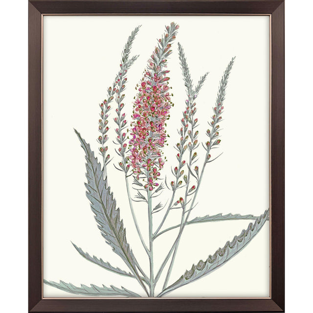 Paragon Pink Veronique II Pink 33 X 27 X 1 Wall Art