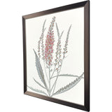 Paragon Pink Veronique II Pink 33 X 27 X 1 Wall Art