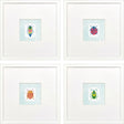 Paragon Garden Friends S/4 Multi 15 X 15 X 2 Wall Art