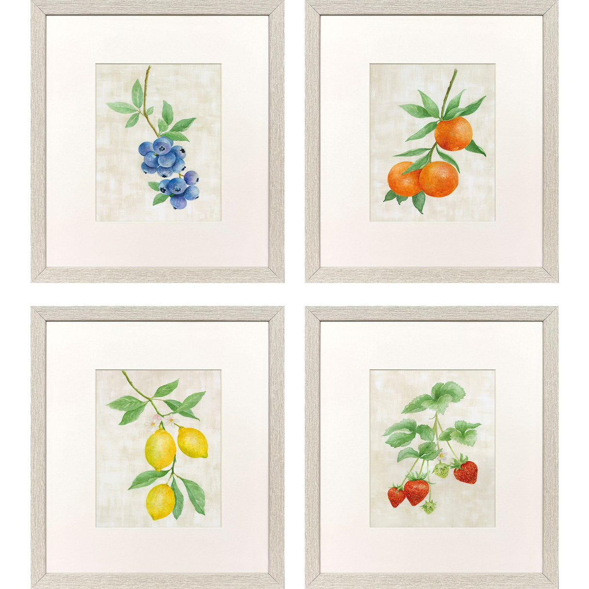 Paragon Fruit in Detail S/4 Multi 17 X 15 X 1 Wall Art