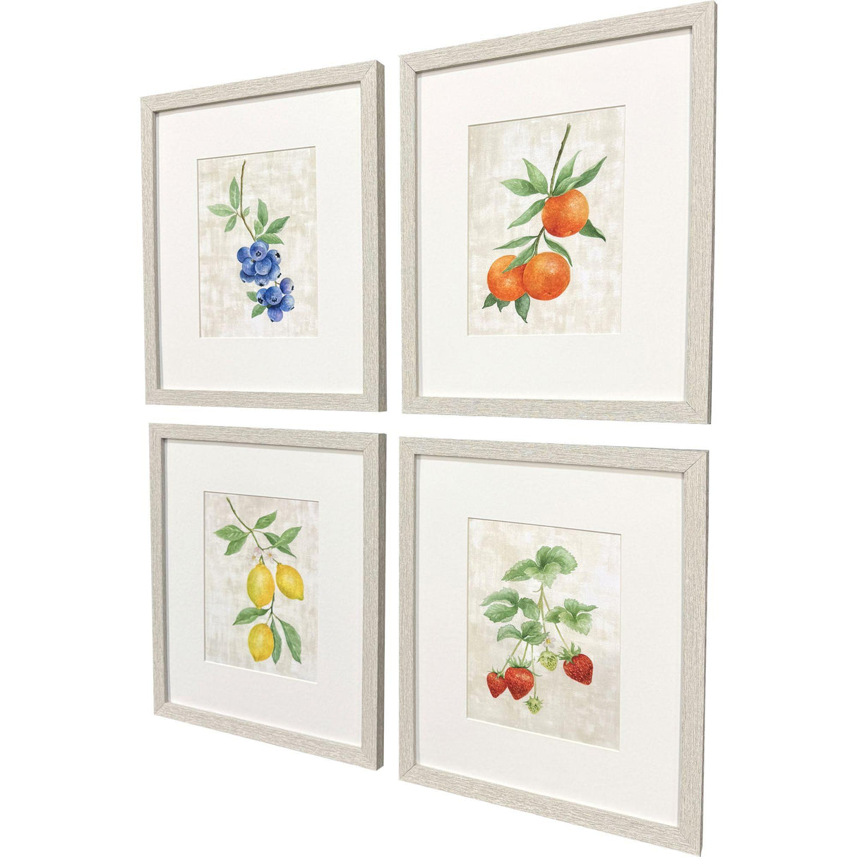 Paragon Fruit in Detail S/4 Multi 17 X 15 X 1 Wall Art