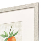 Paragon Fruit in Detail S/4 Multi 17 X 15 X 1 Wall Art