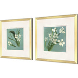 Paragon White Tropicals S/2 White 22 X 22 X 2 Wall Art