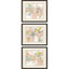 Paragon Pinks S/3 Pink 16 X 19 X 1 Wall Art