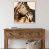 Paragon Brown Horse Brown 30 X 30 X 3 Wall Art