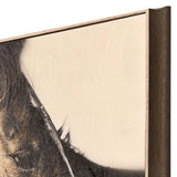 Paragon Brown Horse Brown 30 X 30 X 3 Wall Art