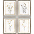 Paragon Brown Petals S/4 Beige 15 X 12 X 1 Wall Art