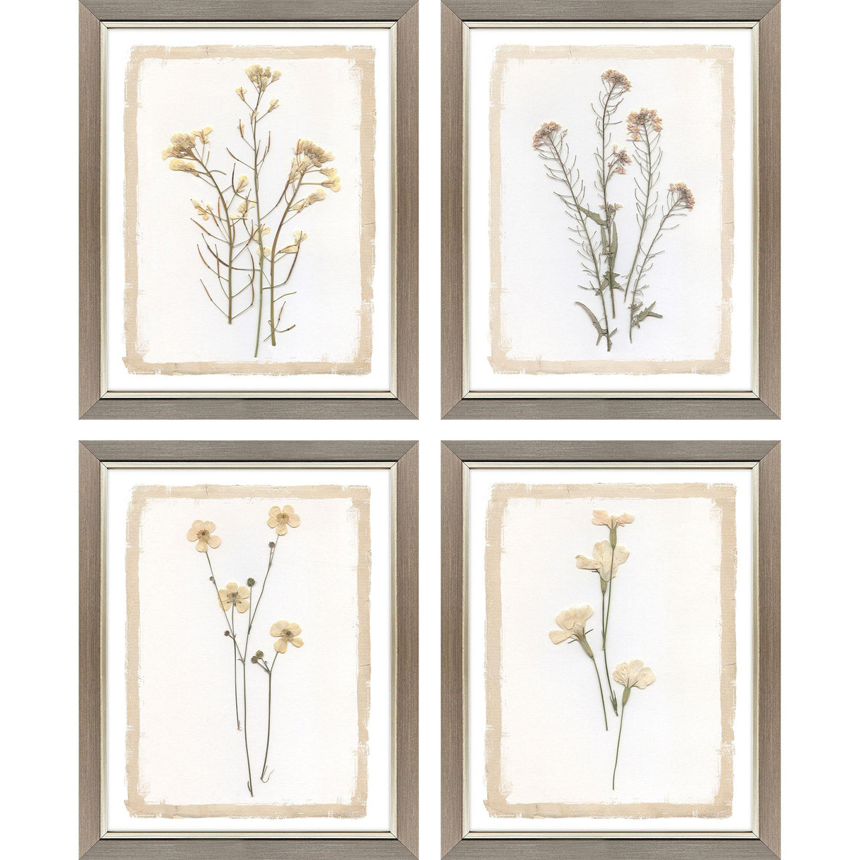 Paragon Brown Petals S/4 Beige 15 X 12 X 1 Wall Art