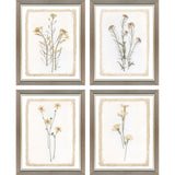 Paragon Brown Petals S/4 Beige 15 X 12 X 1 Wall Art