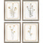 Paragon Brown Petals S/4 Beige 15 X 12 X 1 Wall Art