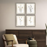 Paragon Brown Petals S/4 Beige 15 X 12 X 1 Wall Art