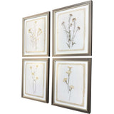 Paragon Brown Petals S/4 Beige 15 X 12 X 1 Wall Art