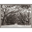 Paragon Georgia Stroll Black 24 X 31 X 2 Wall Art