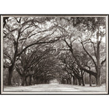 Paragon Georgia Stroll Black 24 X 31 X 2 Wall Art