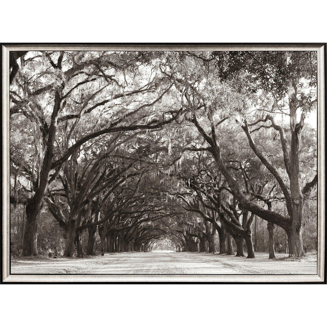 Paragon Georgia Stroll Black 24 X 31 X 2 Wall Art