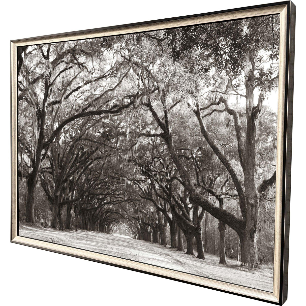 Paragon Georgia Stroll Black 24 X 31 X 2 Wall Art