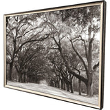 Paragon Georgia Stroll Black 24 X 31 X 2 Wall Art