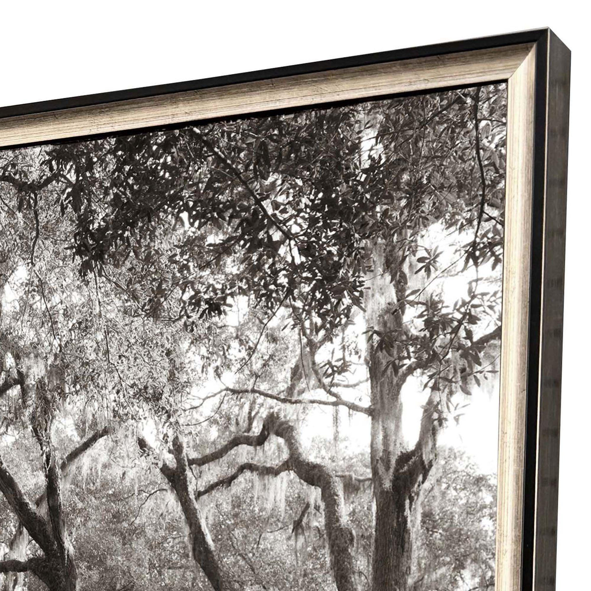 Paragon Georgia Stroll Black 24 X 31 X 2 Wall Art