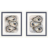 Paragon Tide & Treasure S/2 Blue 30 X 26 X 2 Wall Art