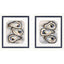 Paragon Tide & Treasure S/2 Blue 30 X 26 X 2 Wall Art