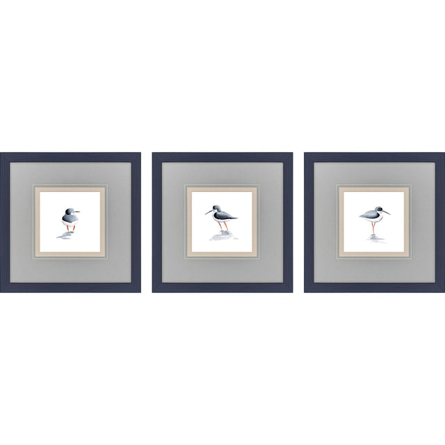 Paragon Shorebird Song I S/3 Blue 18 X 18 X 1 Wall Art