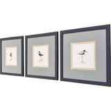 Paragon Shorebird Song I S/3 Blue 18 X 18 X 1 Wall Art