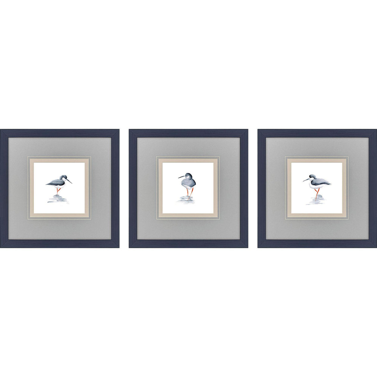 Paragon Shorebird Song II S/3 Blue 18 X 18 X 1 Wall Art