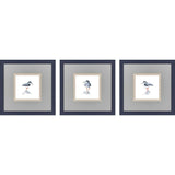 Paragon Shorebird Song II S/3 Blue 18 X 18 X 1 Wall Art