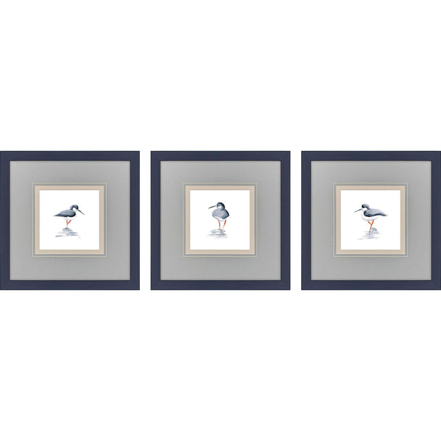 Paragon Shorebird Song II S/3 Blue 18 X 18 X 1 Wall Art