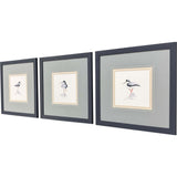 Paragon Shorebird Song II S/3 Blue 18 X 18 X 1 Wall Art