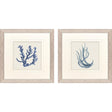 Paragon Blue Corals I S/2 Blue 23 X 23 X 1 Wall Art