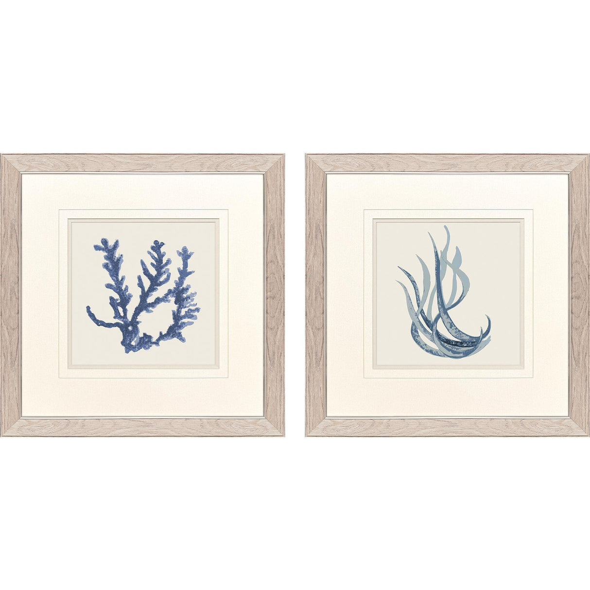Paragon Blue Corals I S/2 Blue 23 X 23 X 1 Wall Art