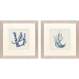 Paragon Blue Corals I S/2 Blue 23 X 23 X 1 Wall Art