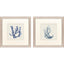 Paragon Blue Corals I S/2 Blue 23 X 23 X 1 Wall Art