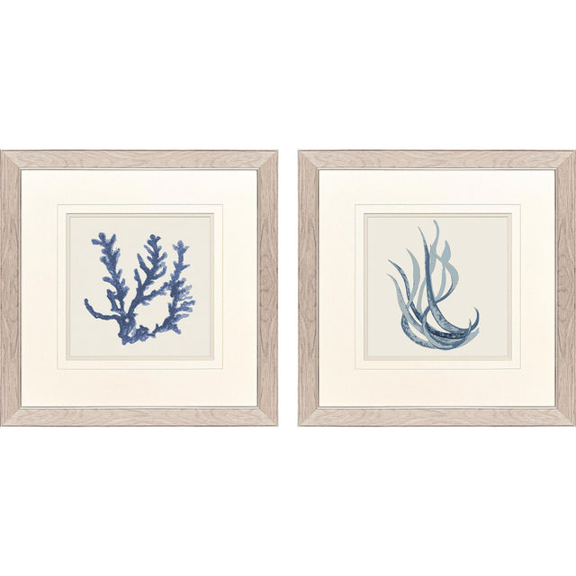 Paragon Blue Corals I S/2 Blue 23 X 23 X 1 Wall Art