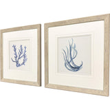 Paragon Blue Corals I S/2 Blue 23 X 23 X 1 Wall Art