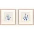 Paragon Blue Corals II S/2 Blue 23 X 23 X 1 Wall Art